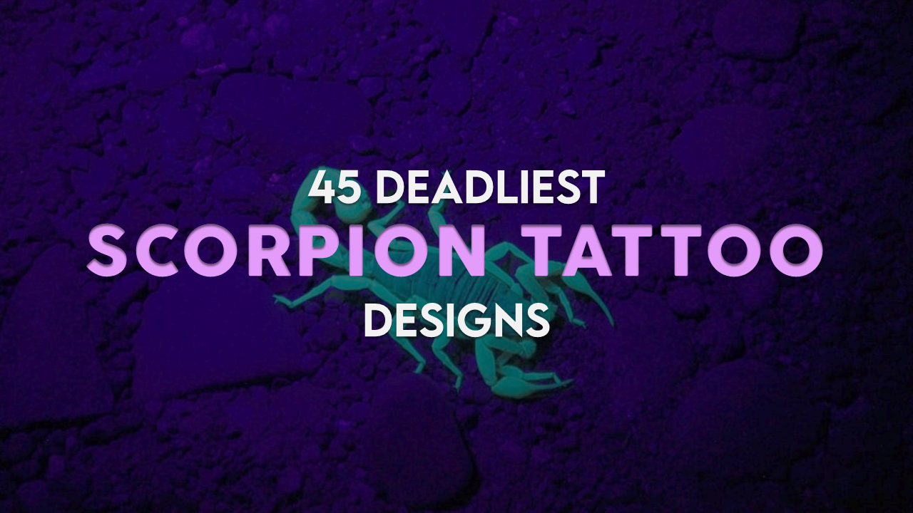 Traditional Scorpion Tattoos  Cloak and Dagger Tattoo London