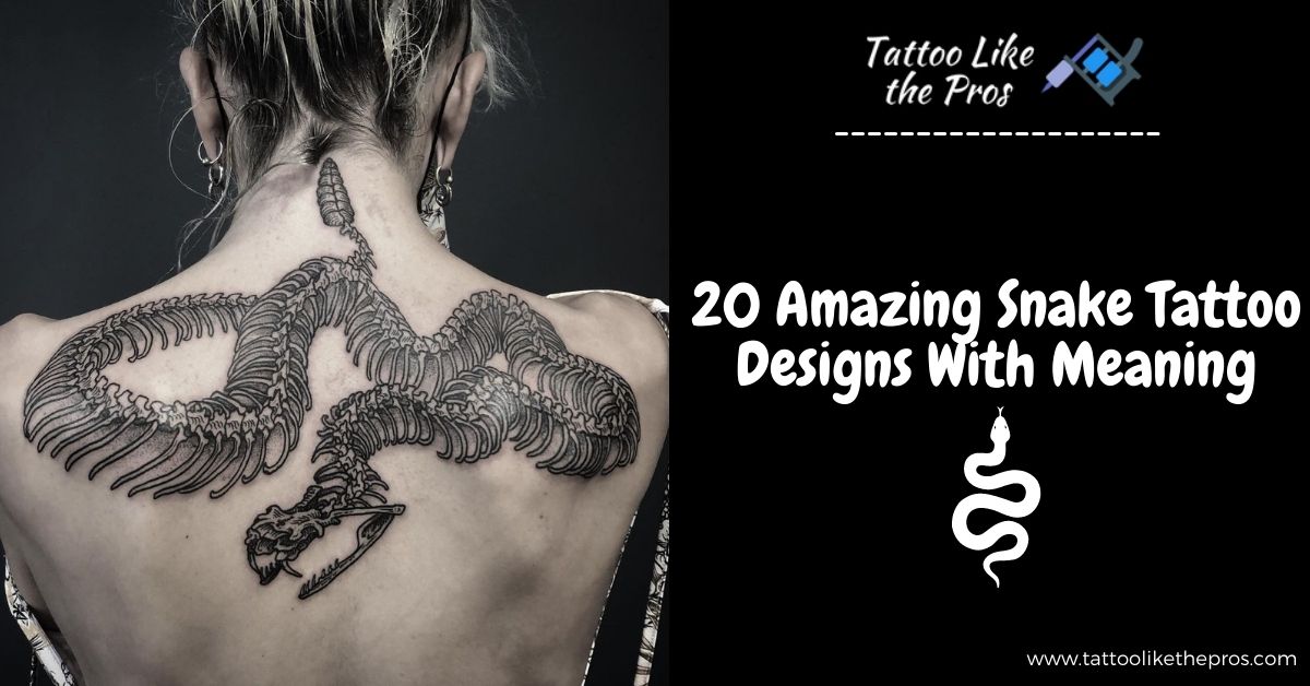 Badger n snake tattoo design Royalty Free Vector Image