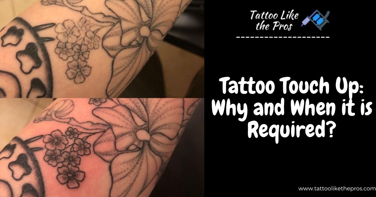 How Do You Know if Your Tattoo Needs a Touch Up  Joby Dorr