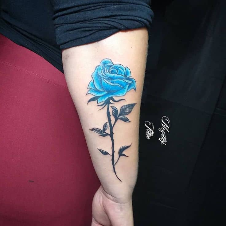 Vine Tattoo With a Blue Rose