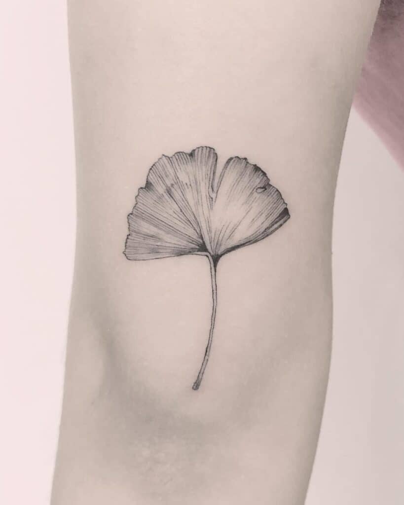 Ginkgo Tree Tattoo