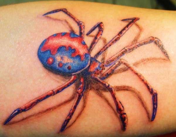 A Design of a Spider With Red Eyes and Fangs
